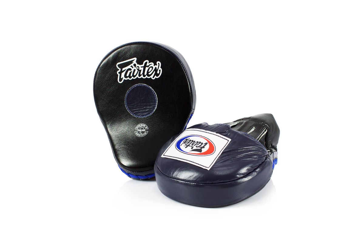 フェアテックス Fairtex 本革 フォーカスミット FMV9 大きい パンチ
