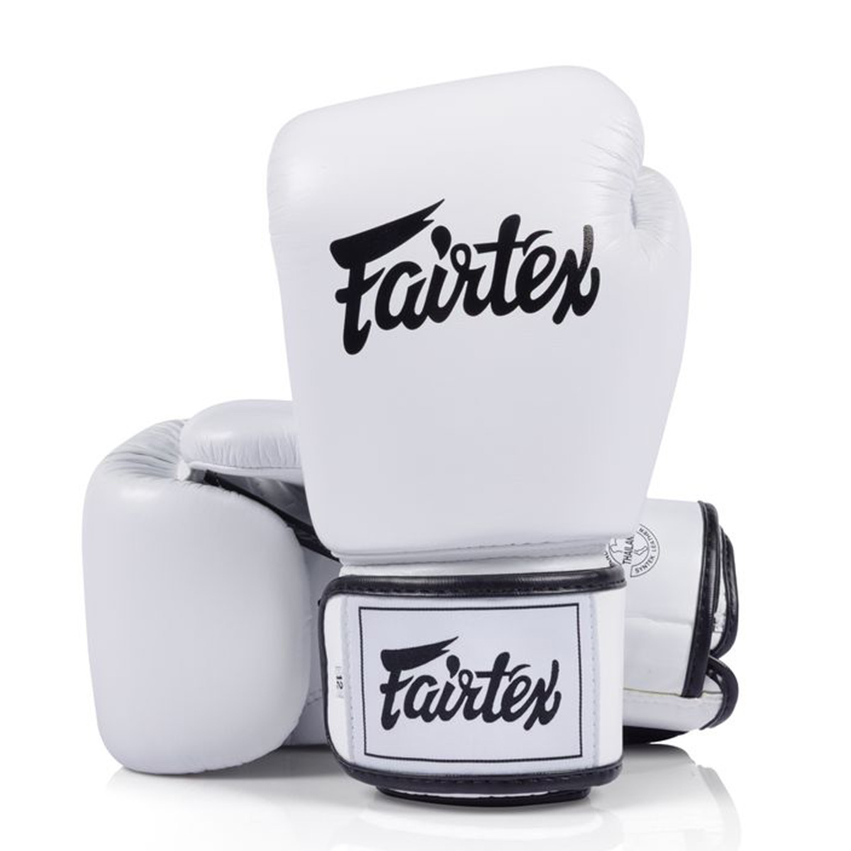 Fairtex フェアテックス ボクシンググローブ BGV1C-PLUS ムエタイ