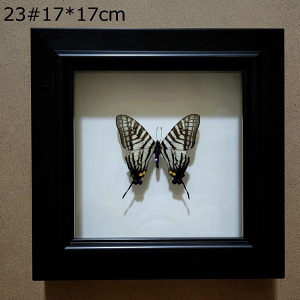 フォトフレーム 額縁 正方形 壁掛け 立体額 ボックスフレーム 本物額