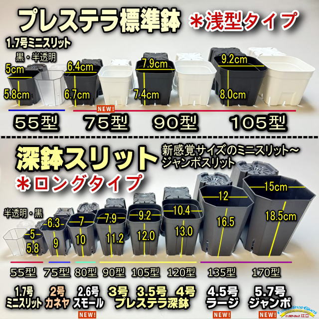 フラワーショップ江口Yahoo!店 - Yahoo!ショッピング