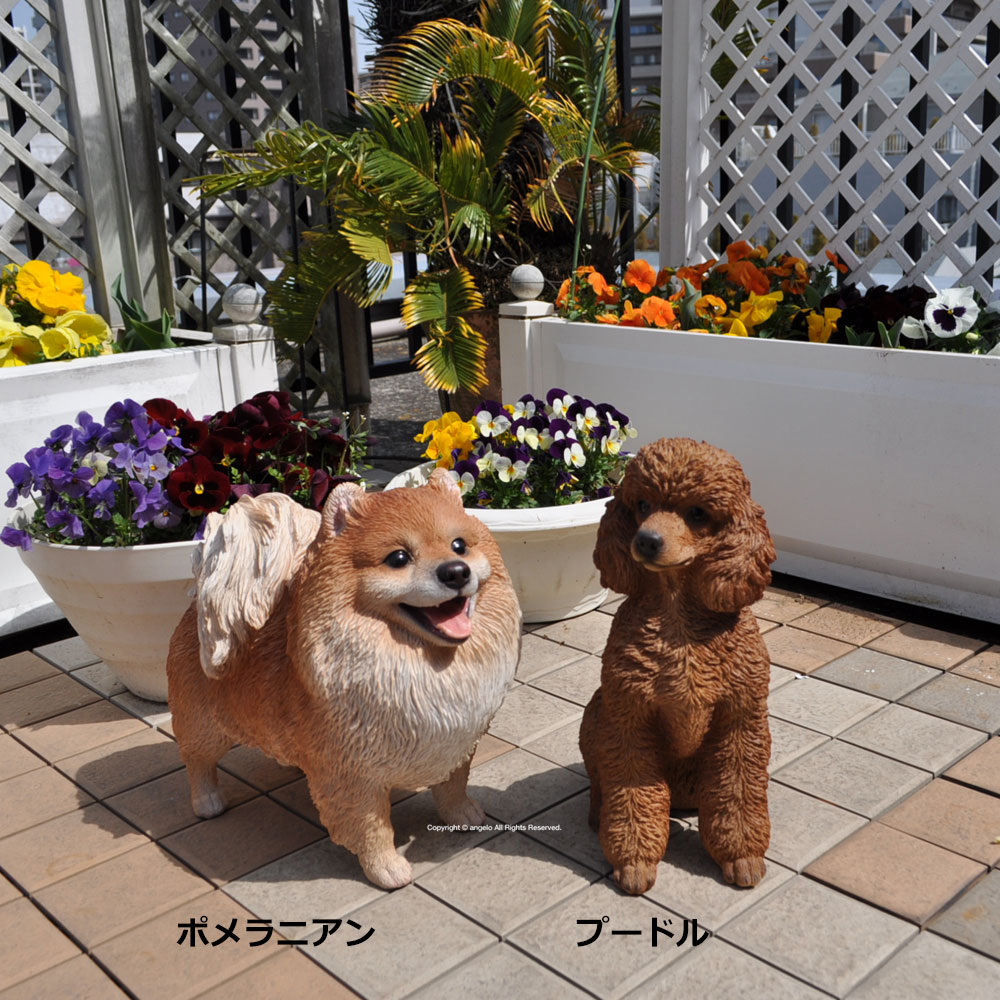 ポメラニアン【ガーデニング雑貨】ドッグ【犬置物】 お庭や玄関