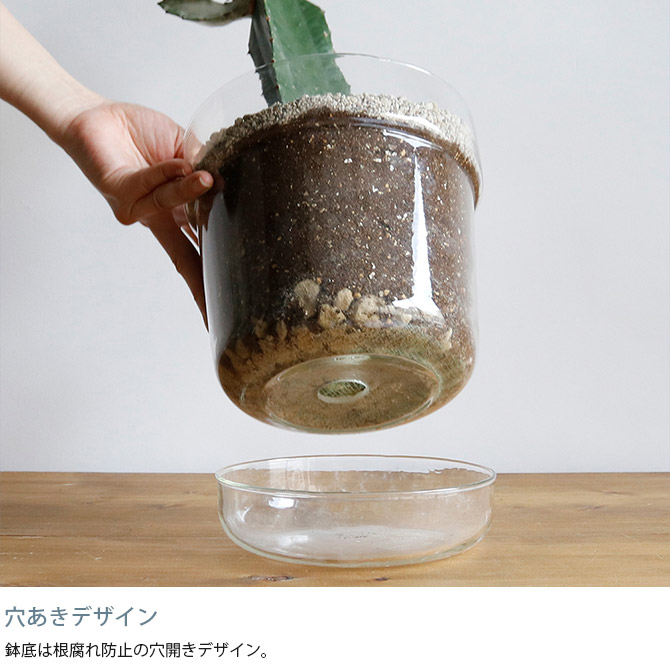 ポット 植木鉢 ガラス 7号鉢 おしゃれ shesay シセイ リューズガラス