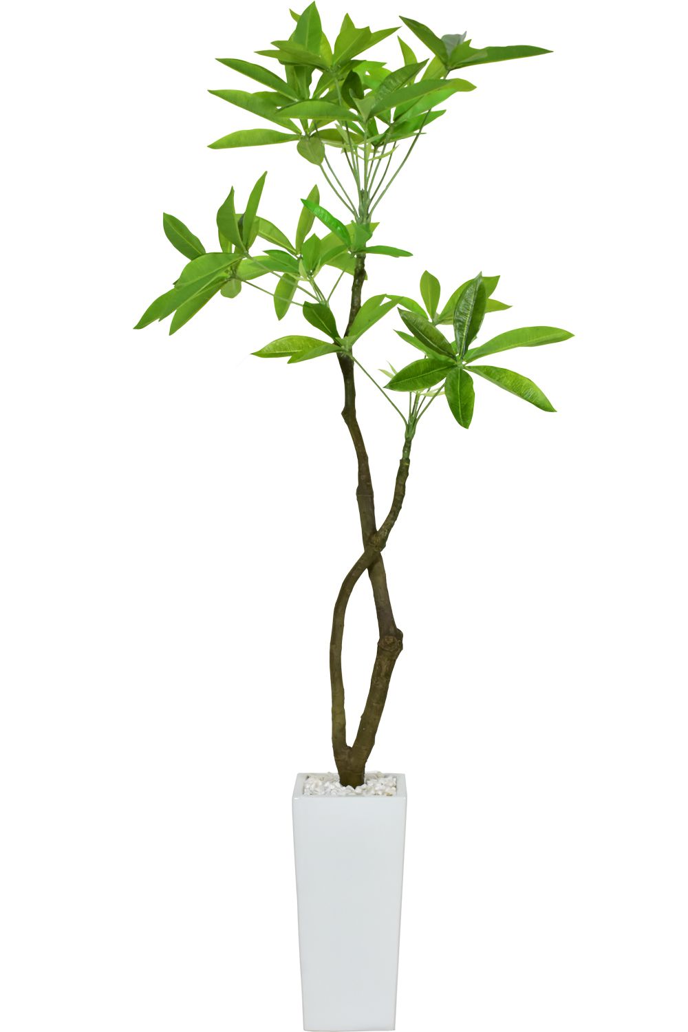 DORIS（ドリス） 人工植物 観葉植物 光触媒 造花 植物 フェイク