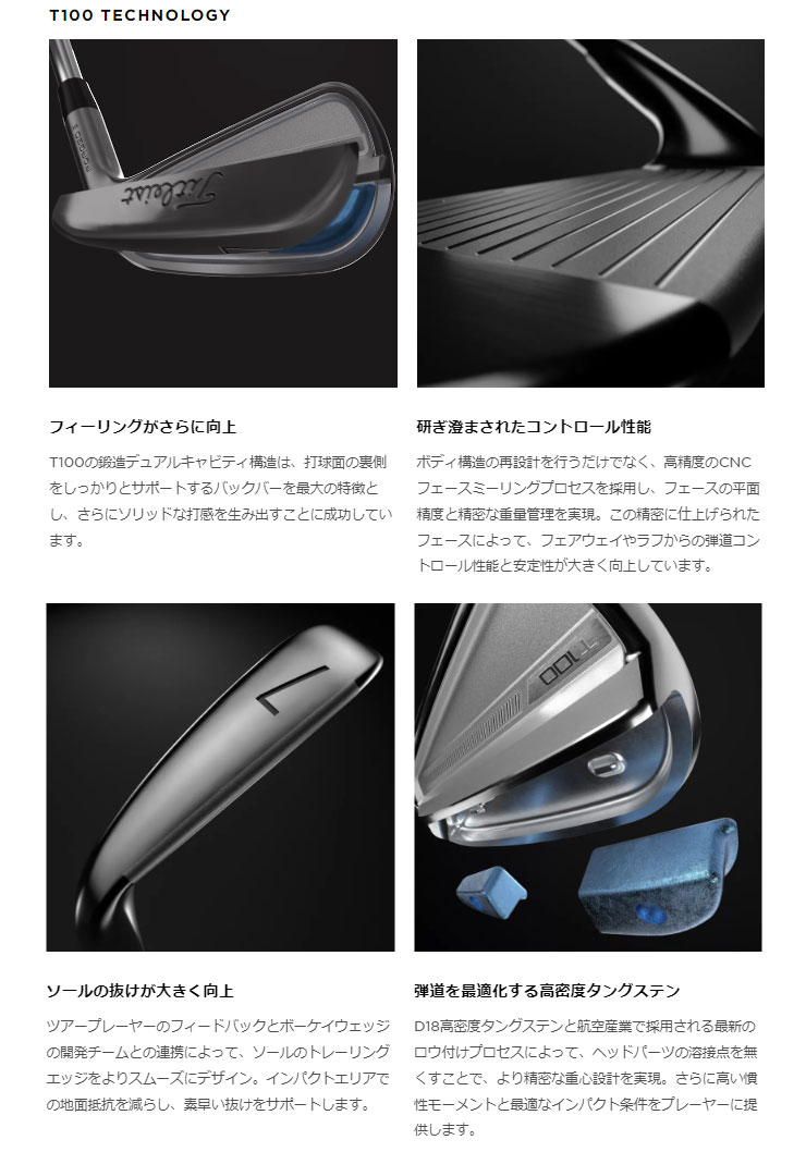 Titleist（タイトリスト） 特注カスタムクラブ T100 アイアン DG95