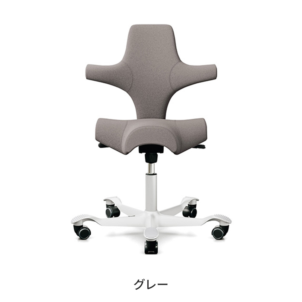 正規輸入品】HAG Capisco ホーグ カピスコ オフィスチェア デスク