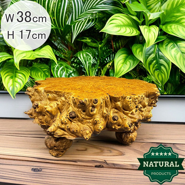 送料無料 木の根 飾り台 W38cm 花台 盆栽 根卓 飾台 台座 仏像 台