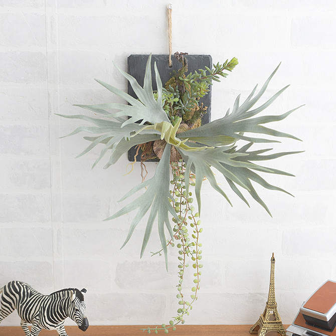 フェイクグリーン 壁掛け 額 ブラウン ビカクシダ ウォールハンギング