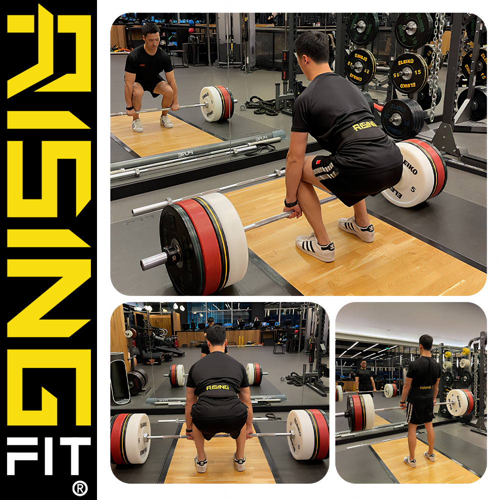 2025年新作 RISING-FIT ウェイトリフティングベルト トレーニング