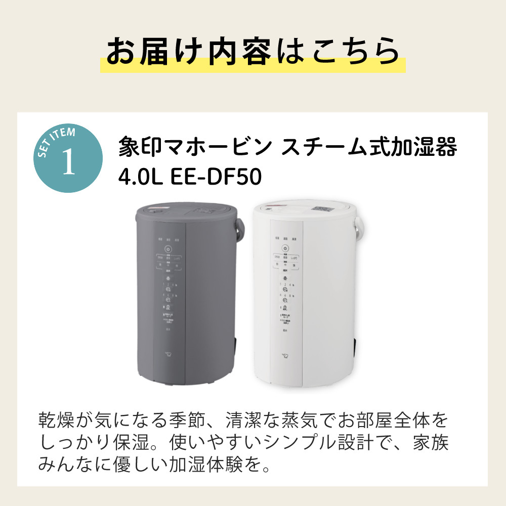 象印（ZOJIRUSHI） 加湿器 スチーム式加湿器 4.0L EE-DF50 グレー