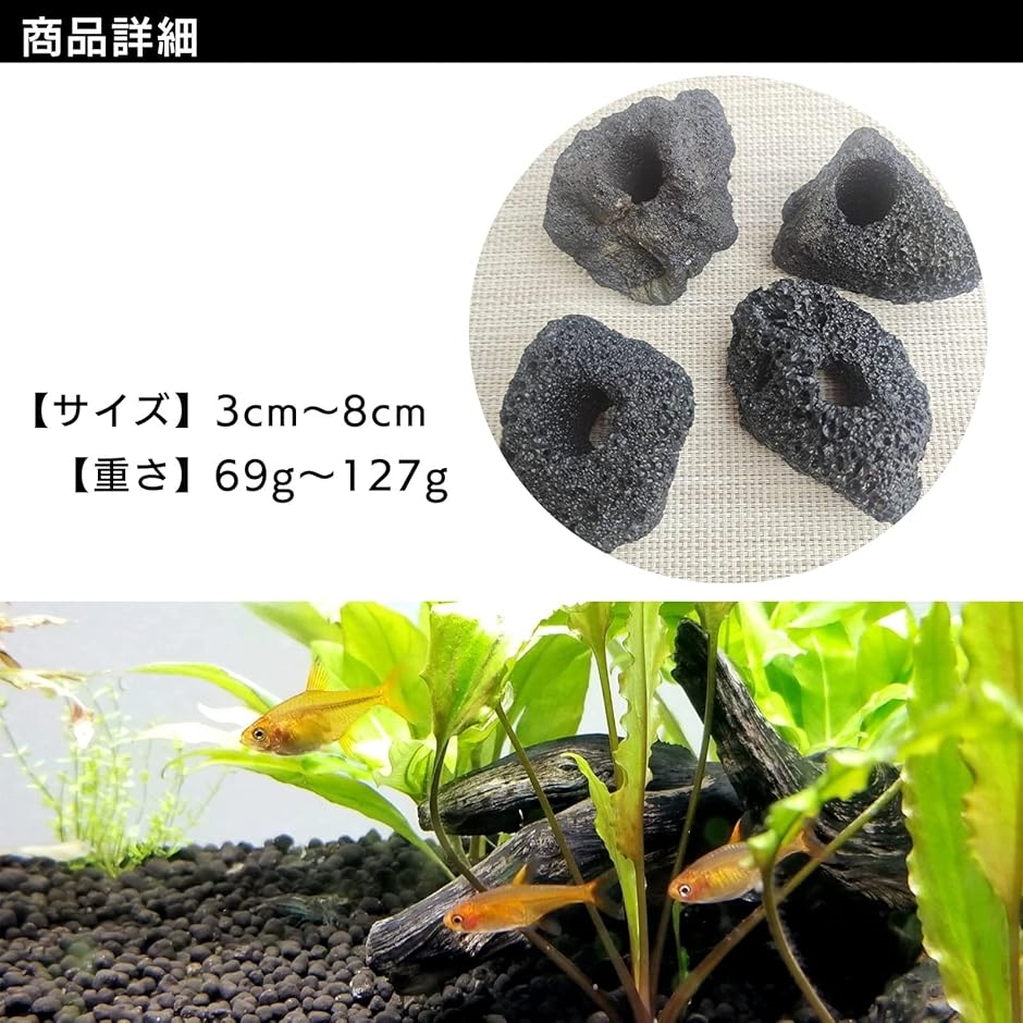 溶岩 石 火山 水槽 穴あき オブジェ 10個 セット アクアリウム 飾り