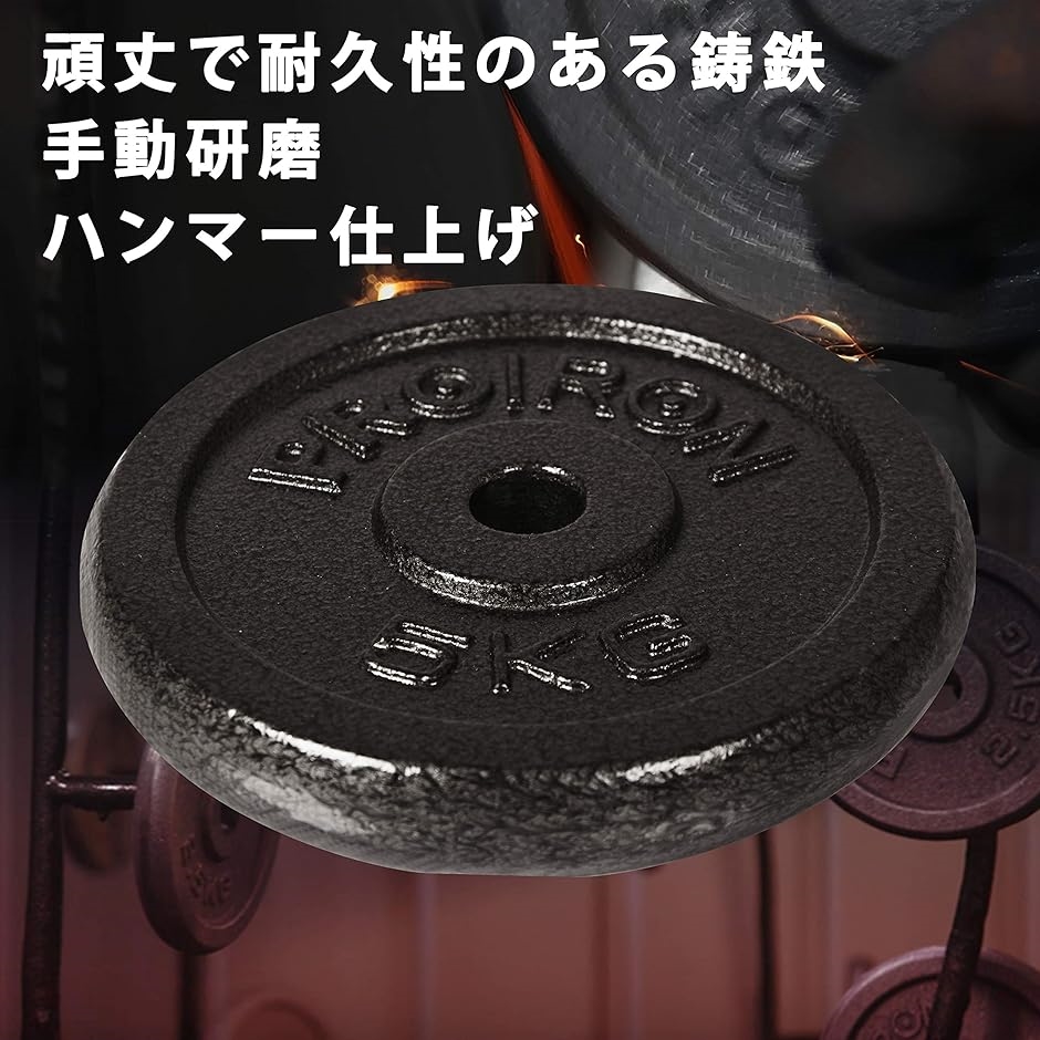 ダンベル プレートダンベルおもり追加 純鋳鉄 2.5kgx4個 穴径25mm