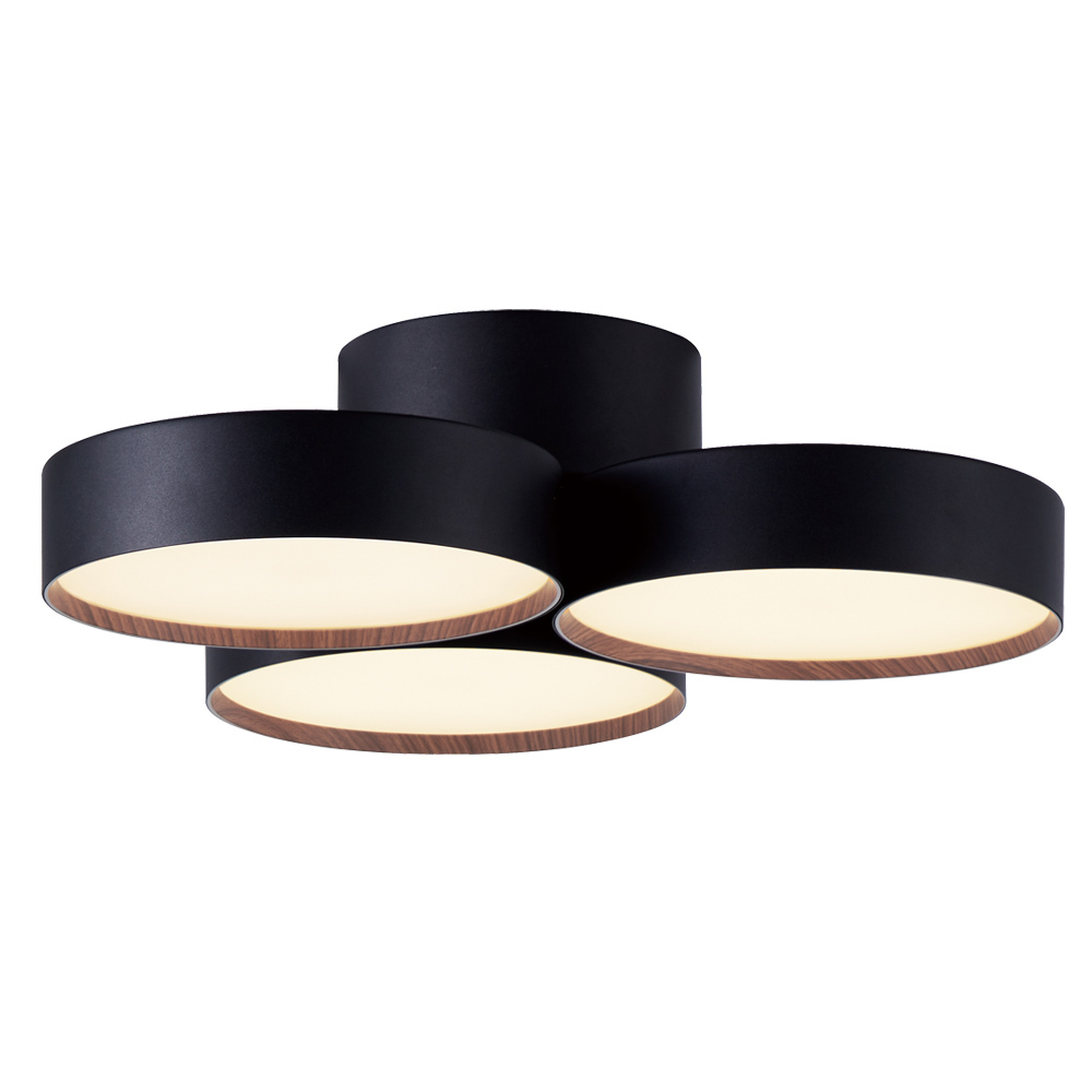 ARTWORKSTUDIO（アートワークスタジオ） シーリングライト 8畳