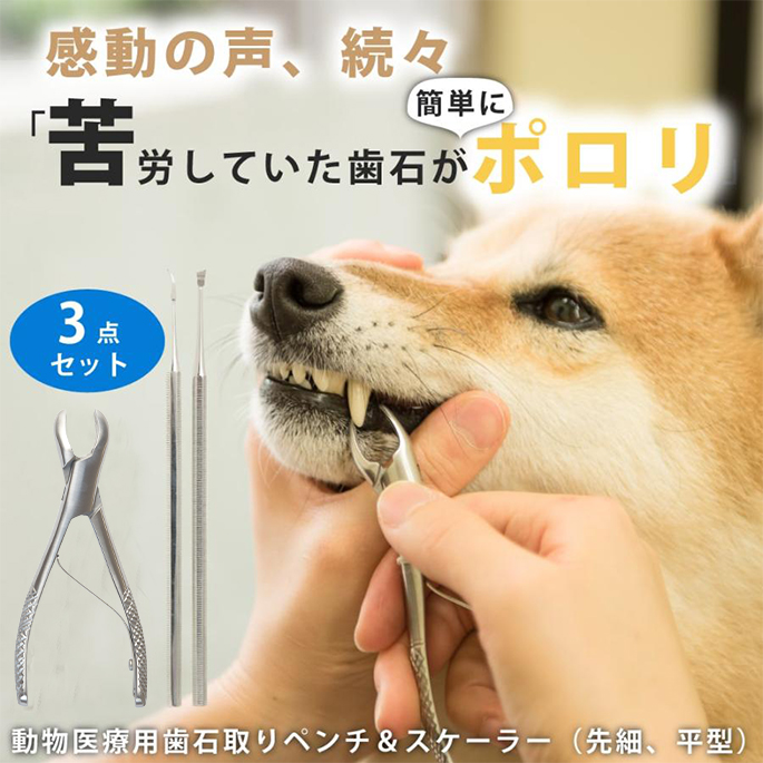 帝塚山ハウンドカム 【タイムセール5％OFF】愛犬・愛猫用歯石取り