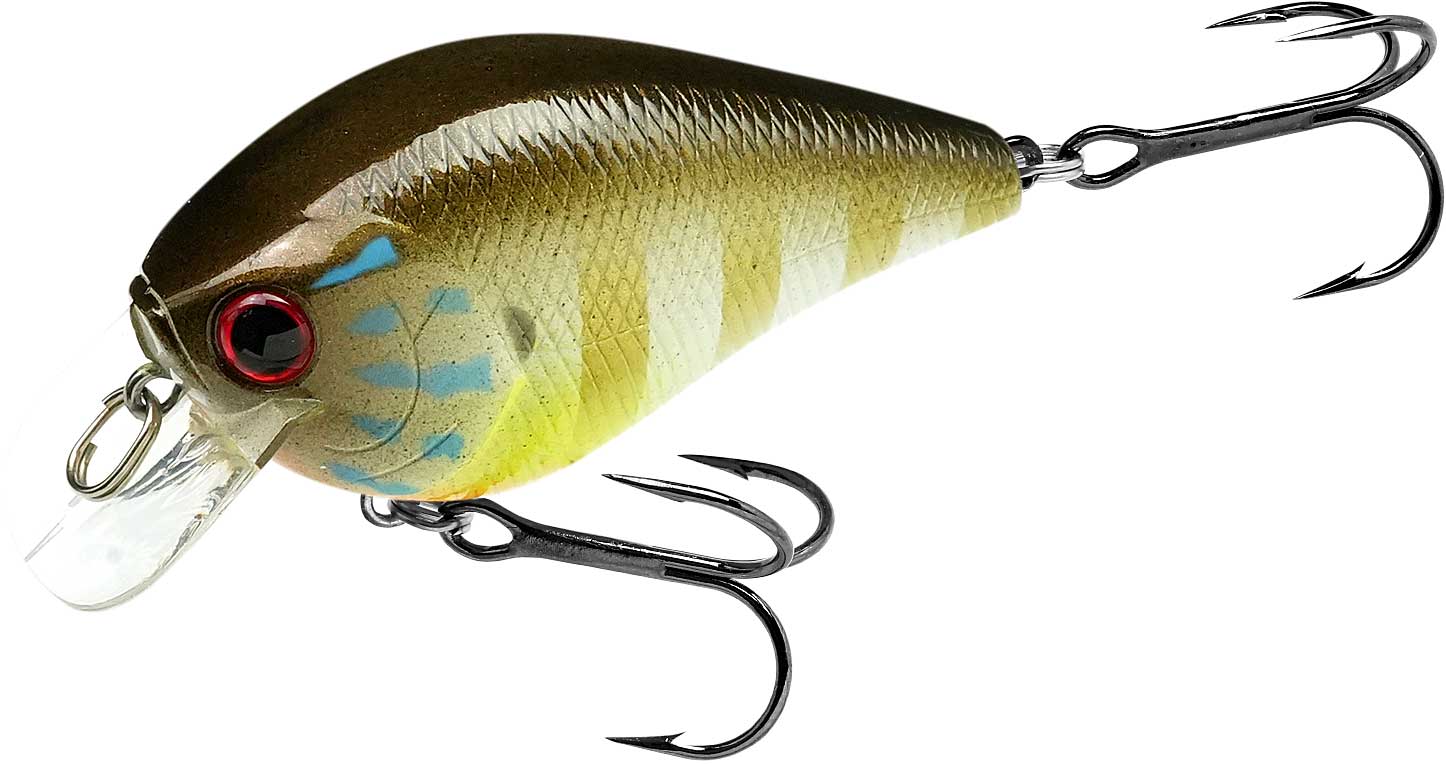 LUCKY CRAFT（ラッキークラフト） ラッキークラフトUSA FAT CB BDS2