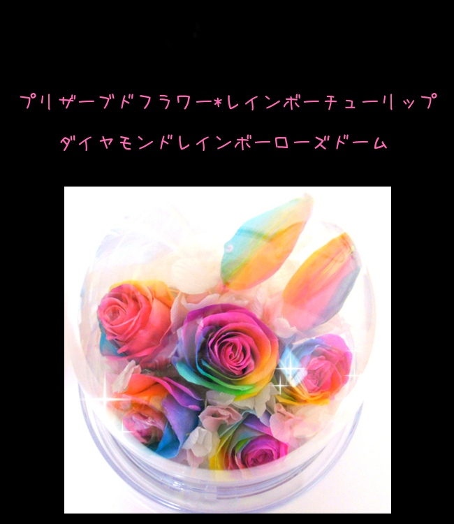 サウンドアレンジ 【楽天ランキング1位】ケース入りレインボー