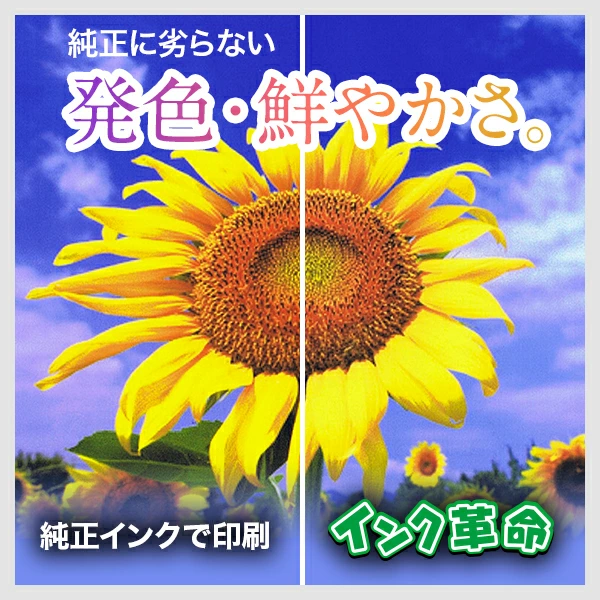 インク革命.COM lc3119 自由に選べる カラー8本セット ブラザー インク