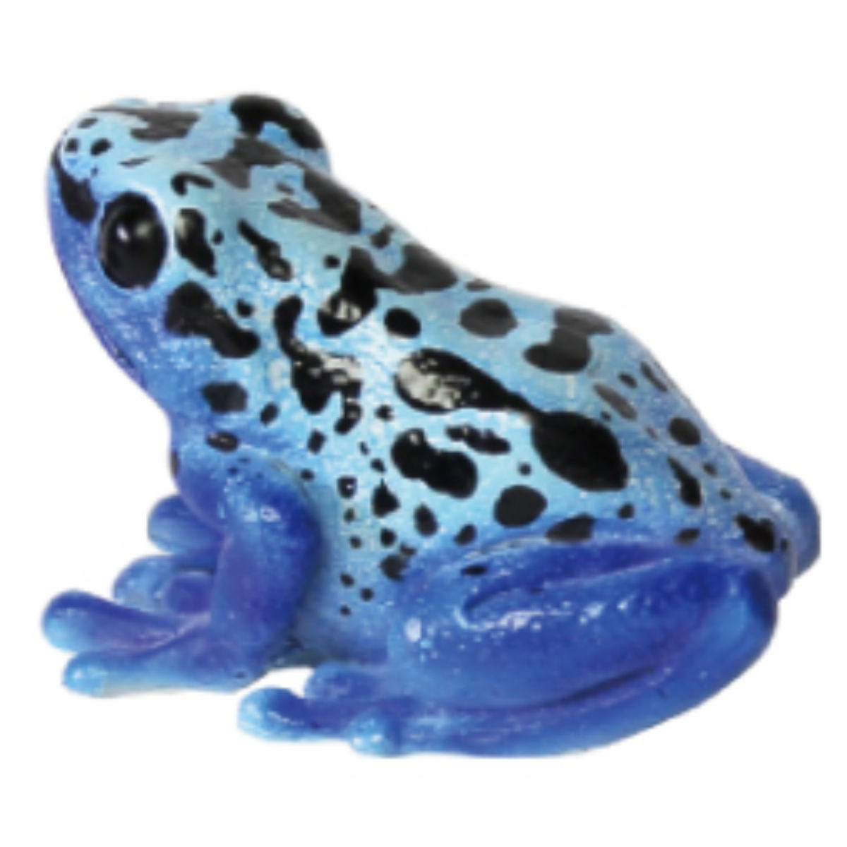 magnet オブジェ REPTILES MAG ヤドクガエル アマガエル （ クリップ