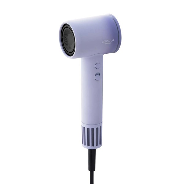 IRIS OHYAMA（アイリスオーヤマ） ドライヤー 大風量 軽量 速乾