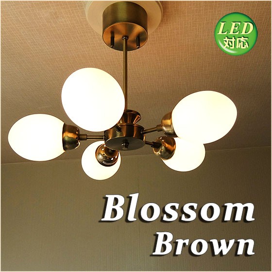シーリングライト 天井照明 5灯 スポットライト ブラウン 乳白ガラス