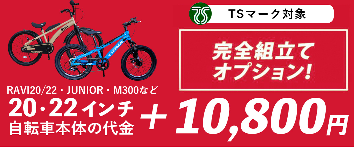 本格派マウンテンバイク ダブルディスクブレーキ サスペンション