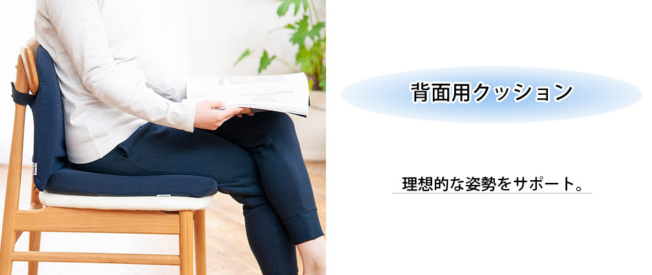 テンピュール（TEMPUR） ランバーサポート 3年保証 オフィス 在宅