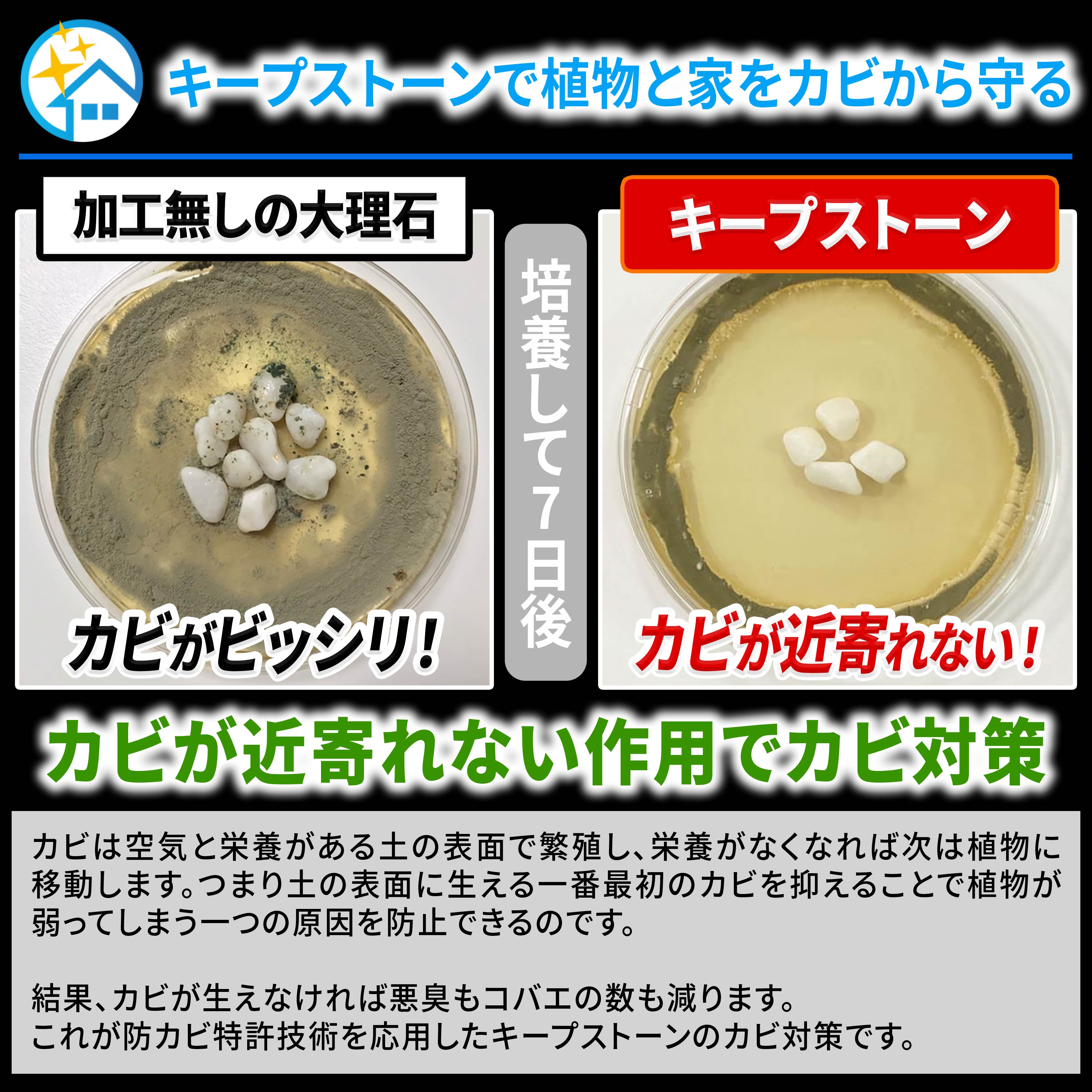 純閃堂 観葉植物用の防カビ石 キープストーン 白玉砂利 小粒 400g