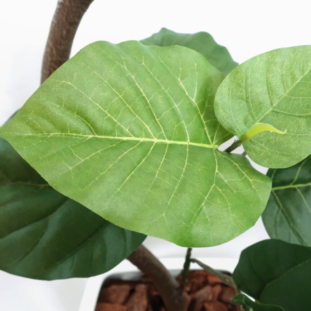 神戸花物語 フェイクグリーン 観葉植物 人工観葉 大型 光触媒 フィカス
