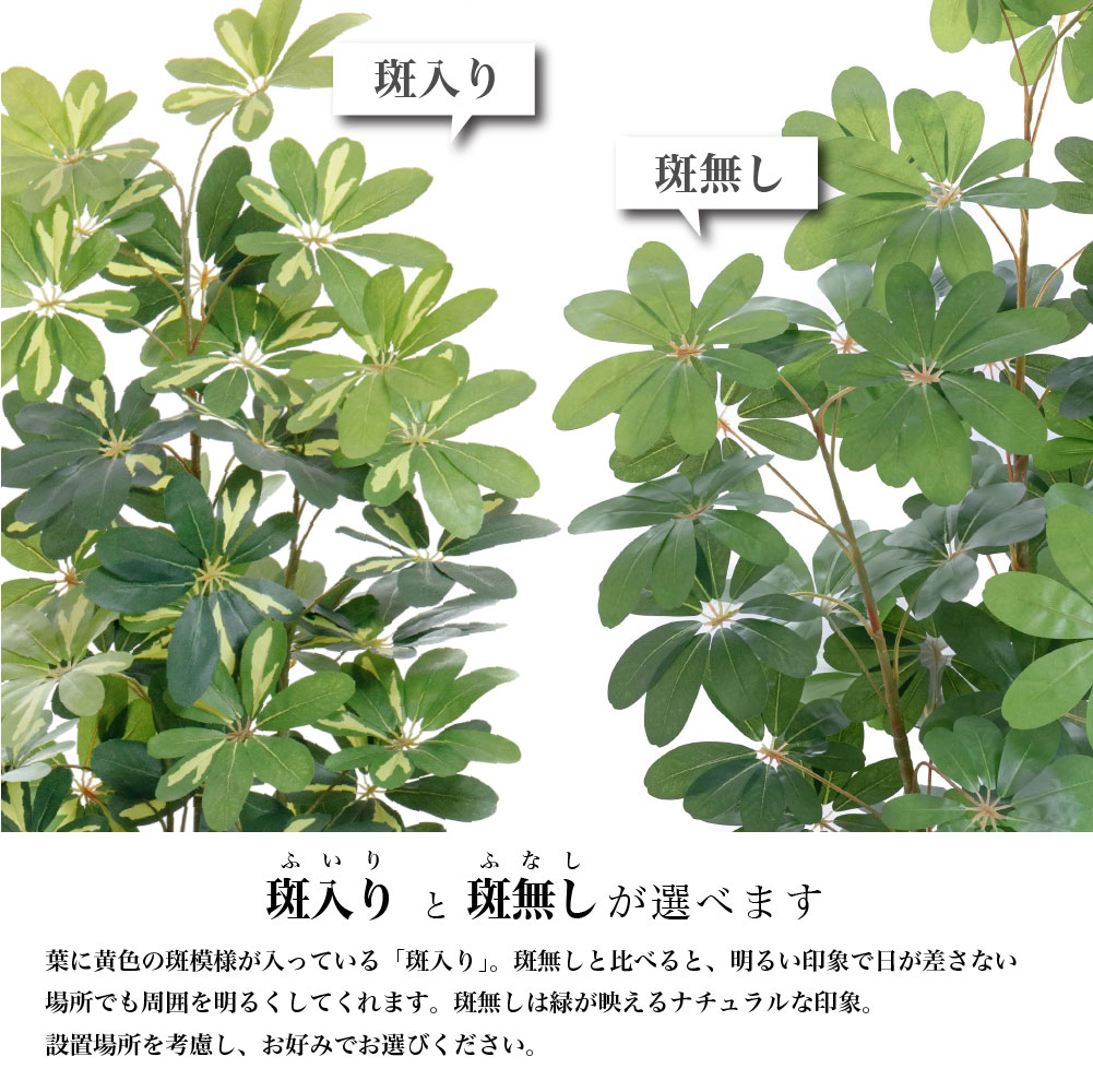 神戸花物語 フェイクグリーン カポック アルボリコラ 大型 人工観葉