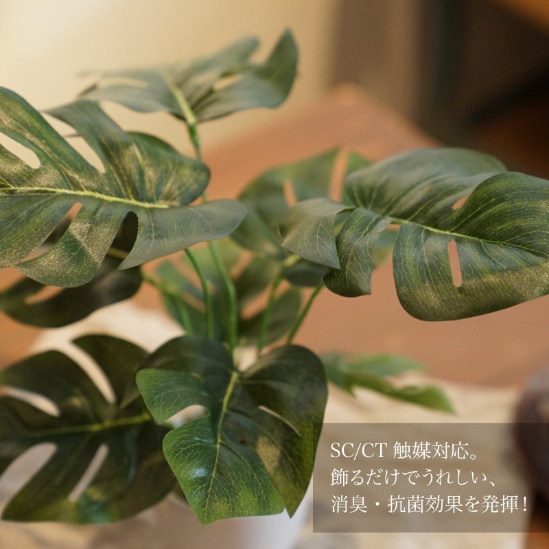 神戸花物語 フェイクグリーン モンステラ ミニ 卓上 人工 観葉植物