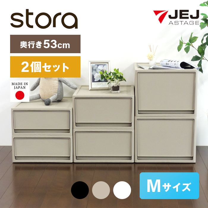 JEJアステージ 収納ボックス 衣装ケース 収納ケース (同色2個セット