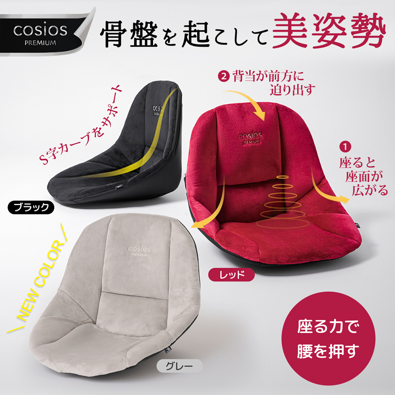 姿勢矯正クッション・チェア ワインレッド 引き取りのみ！さいたま市