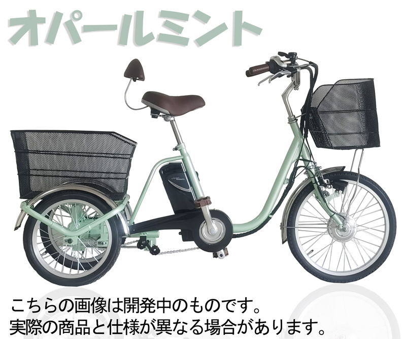 21Technology 3年間の無料補償付 三輪車 電動三輪車 電動三輪自転車