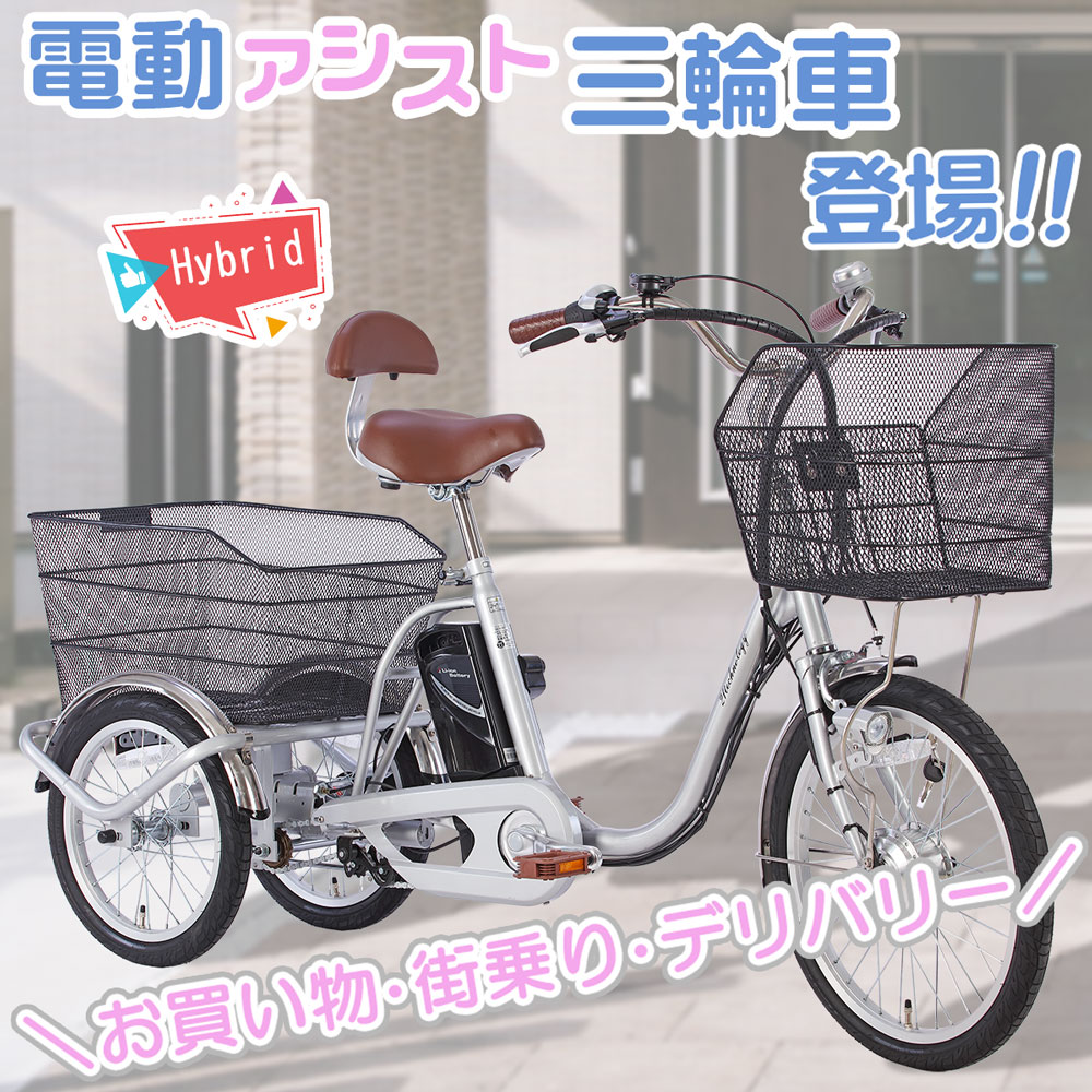 21Technology 3年間の無料補償付 三輪車 電動三輪車 電動三輪自転車