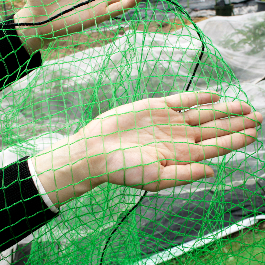 防鳥ネット 丈夫な防鳥ネット（3m×50m）1巻 目合17mm : 花と緑 国華園