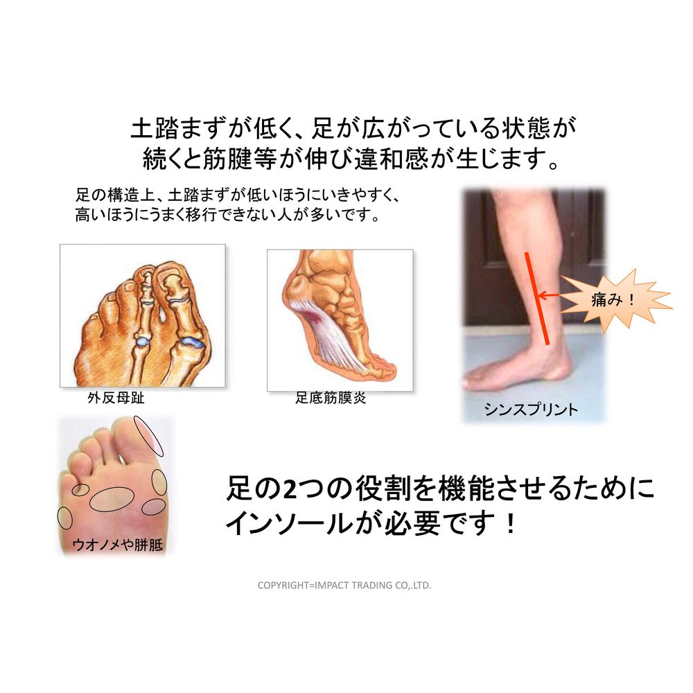 即日出荷』NWPL インソール Life OTC ITN001 ノースウエスト・ポディア