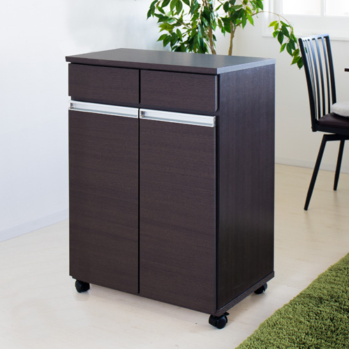 ダイニングダストボックス2D ごみ箱 2分別 台所用 生ごみ 背面美人