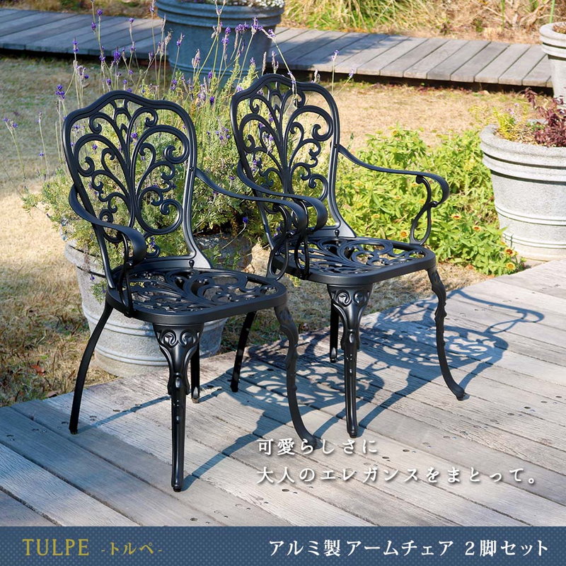 ガーデンチェア アルミ製アームチェア 2脚セット トルペ 庭 ガーデン