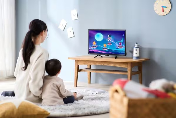 アイリスオーヤマ LUCA チューナーレステレビ LTL-24WG-F1 24V型