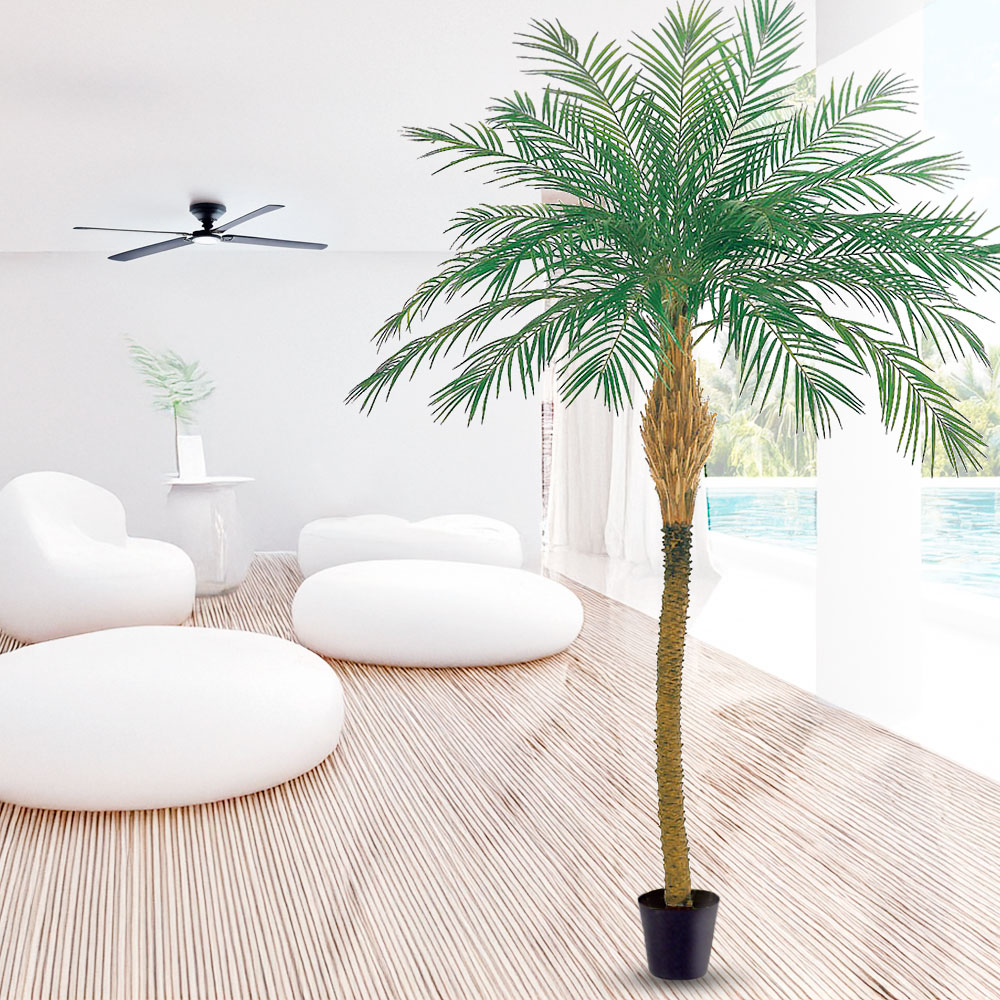 フェニックス 大型 観葉植物 人気 おしゃれ インテリアグリーン