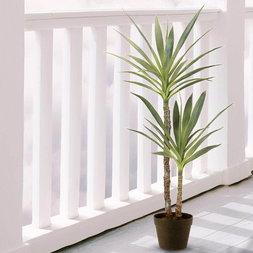 ドラセナ ユッカ 青年の木 屋外用 インテリアグリーン おしゃれ 人気