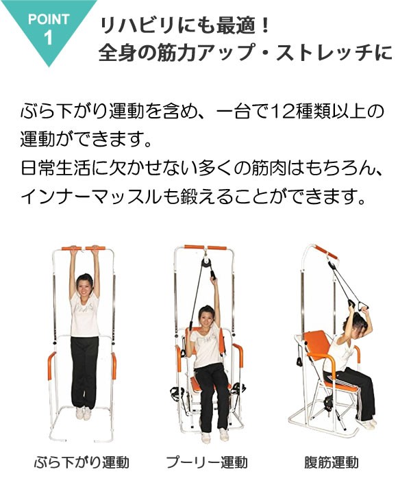 ぶら下がり健康器 筋トレ マルチホームトレーナー YMHT-250 ヤマト