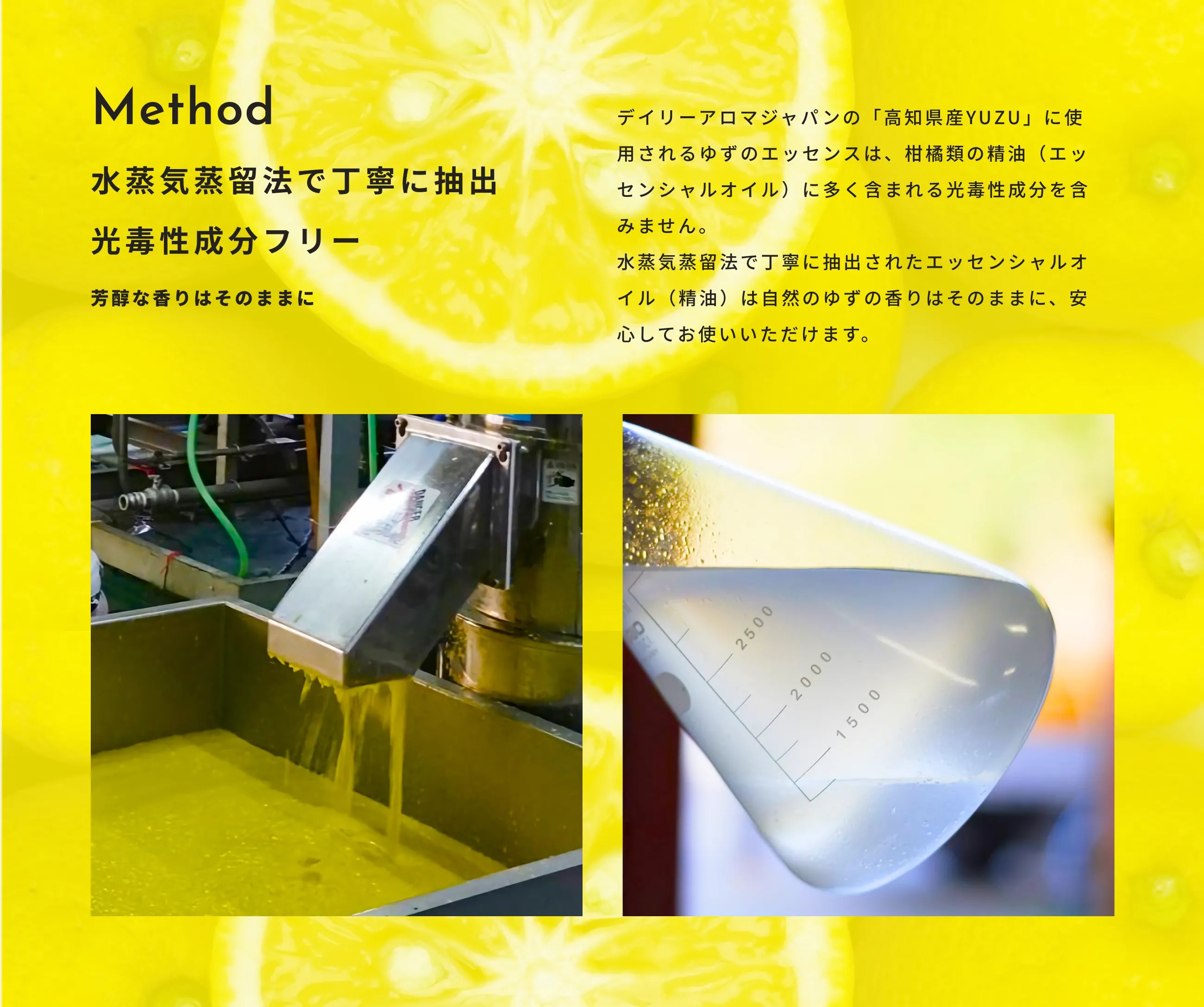 デイリーアロマジャパン 高知県産 YUZU ピール入り バスソルト 40g 5包