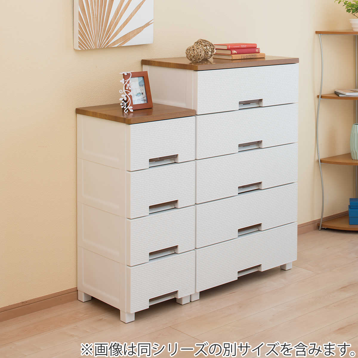 Fits チェスト フィッツプラス メッシュ 5段 幅65×奥行41×高さ105cm