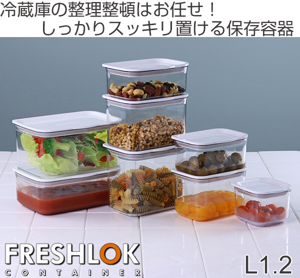 TAKEYA（タケヤ） 保存容器 フレッシュロックコンテナ L 1.2L （ 密閉