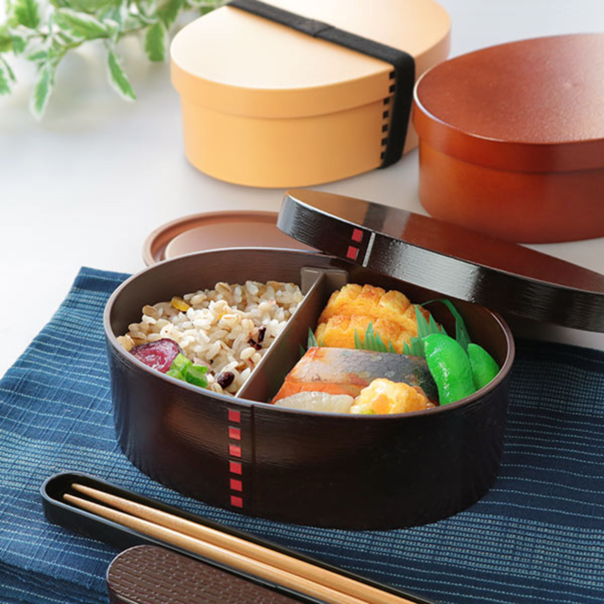 HAKOYA 弁当箱 曲げわっぱ 500ml 1段 小 （ お弁当箱 ランチボックス