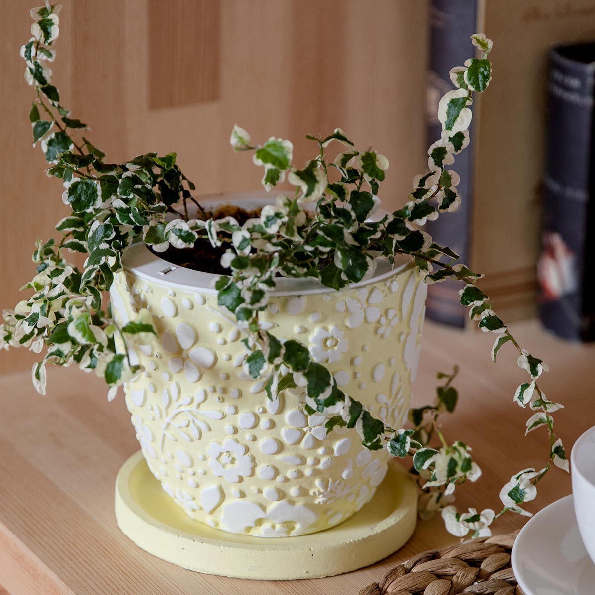 プランター クッカ ポット M （ 植木鉢 プラントポット 鉢植え 鉢 寄せ