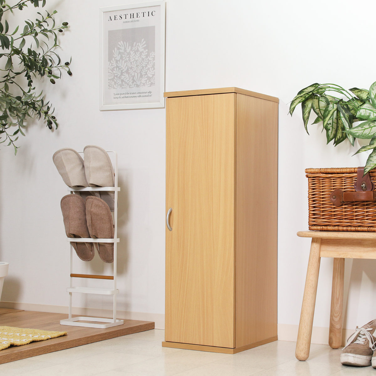 不二貿易（Fuji Boeki） 下駄箱 スリムシューズボックス 5段 幅28.7cm