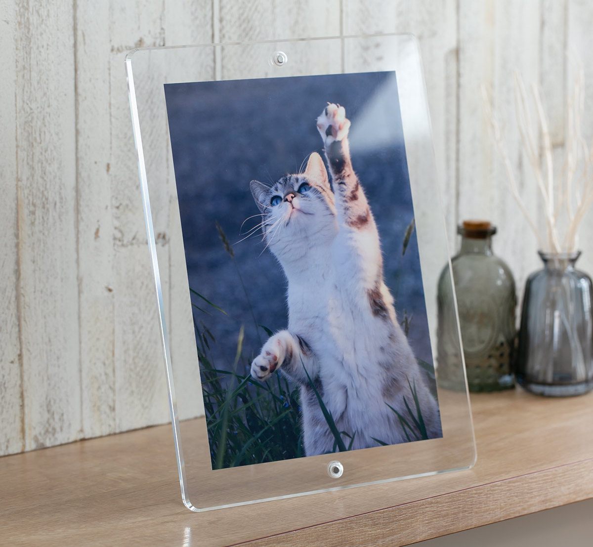 Trytec マグパチ フォトフレーム スタンダード B5判サイズ （ フォト