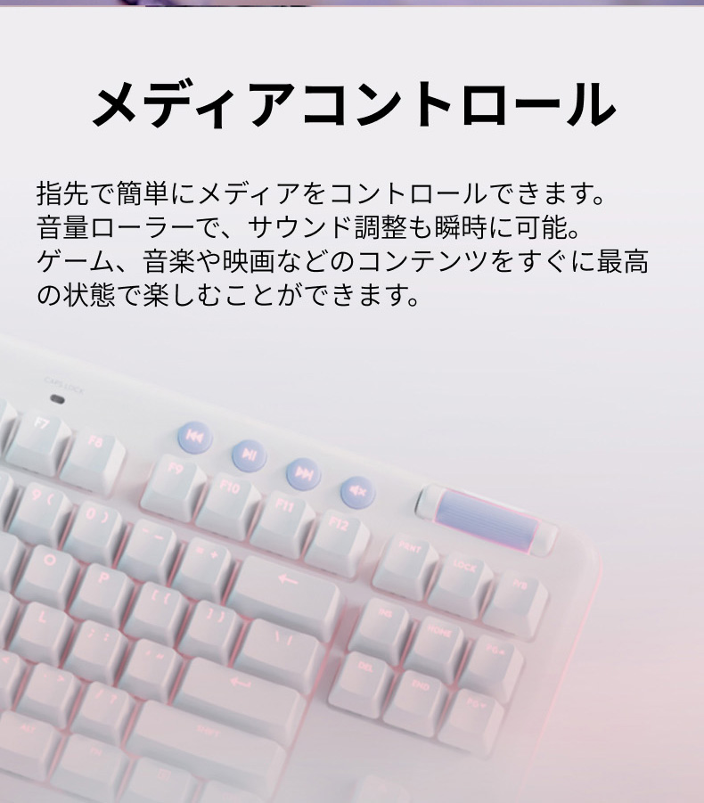 ロジクールG ゲーミングキーボード Logicool G G713 有線 テンキーレス