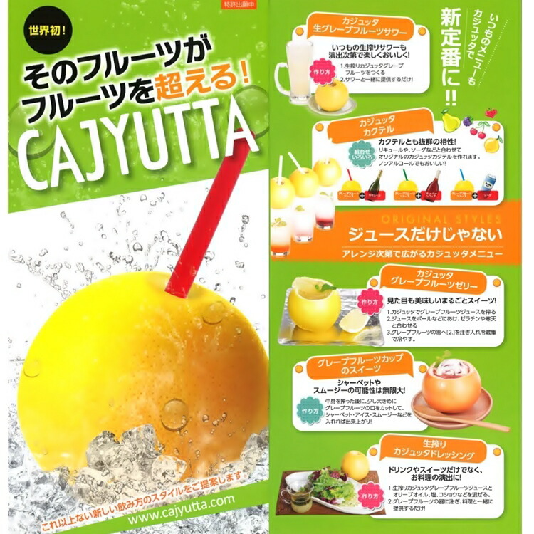 果汁搾り機 カジュッタ CJT3-04 オレンジ FKZ-01 : Loop Leaf ループ